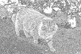 chat Coloriages À Imprimer